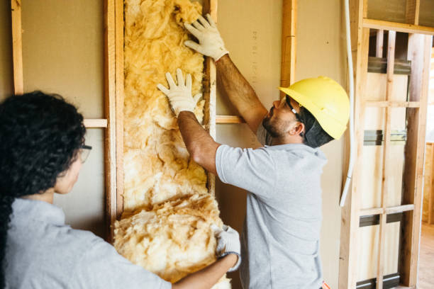 Best Insulation for Metal Buildings  in Cresson, TX