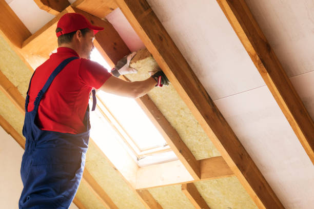 Best Basement Insulation  in Cresson, TX